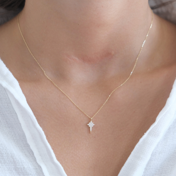 14 Ayar Altın Taşlı Kuzey Yıldızı Kolye 433