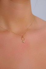 14 Ayar Altın Taşlı Balık Kolye 133