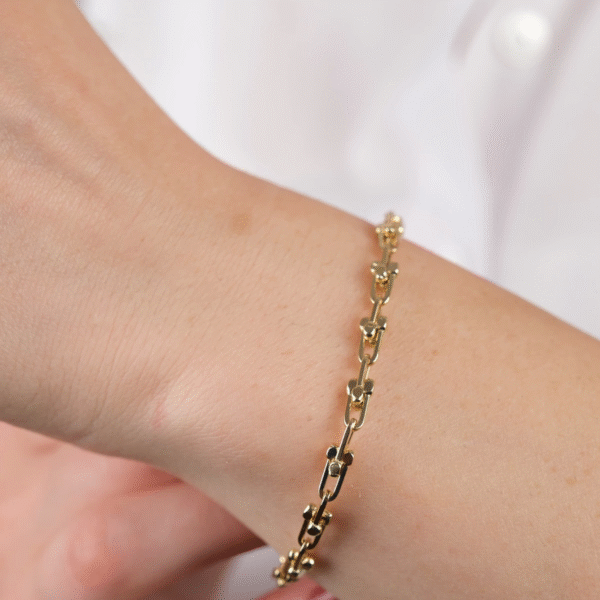 14 Ayar Altın Toplu Ataç Zincir Bileklik 753