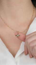 14 Ayar Altın Kutup Yıldızlı Kolye - Görsel 2