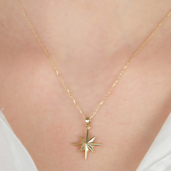 14 Ayar Altın Kutup Yıldızlı Kolye Ucu 483