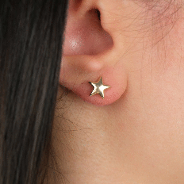 14 Ayar Altın Yıldız Vidalı Küpe