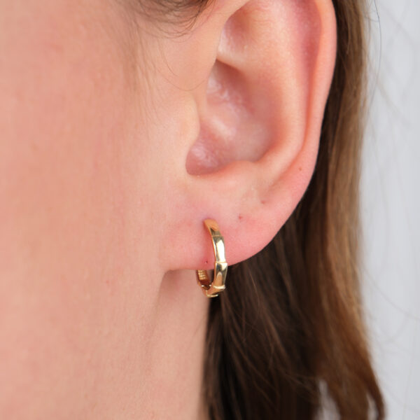 14 Ayar Altın Taşlı Halka Küpe 751