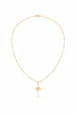 14 Ayar Altın Kutup Yıldızlı Kolye