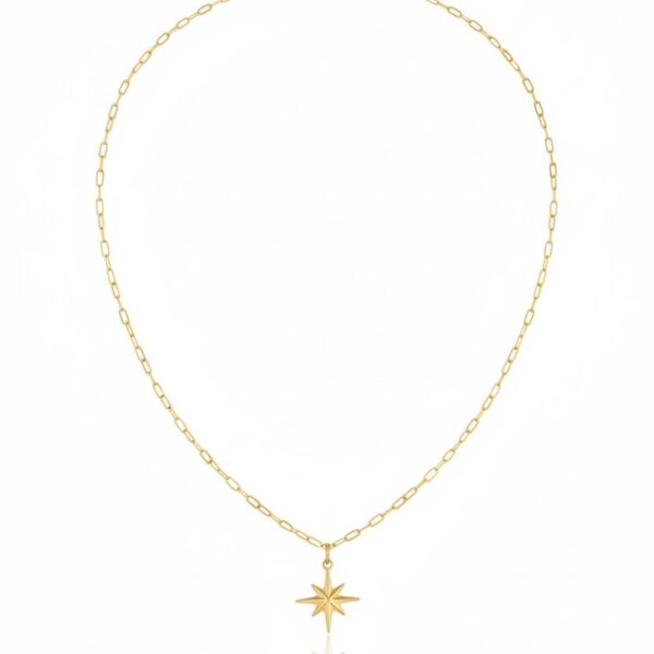 14 Ayar Altın Kutup Yıldızlı Kolye