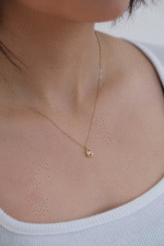 14 Ayar Altın Taşlı Oval Kolye 86