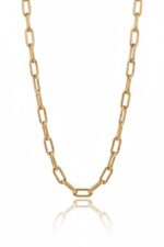 14 Ayar Altın Ataç Zincir Kolye 487