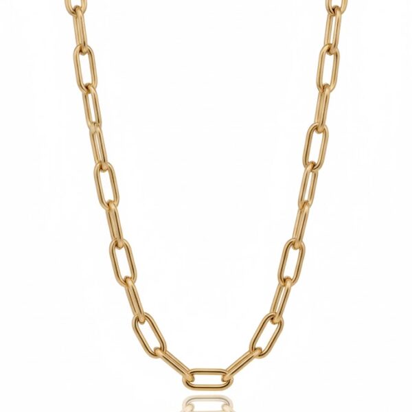 14 Ayar Altın Ataç Zincir Kolye 487