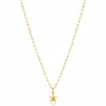 14 Ayar Altın Ataç Zincirli Kolye