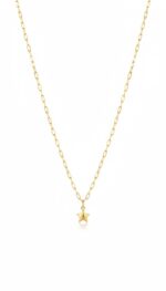 14 Ayar Altın Ataç Zincirli Kolye