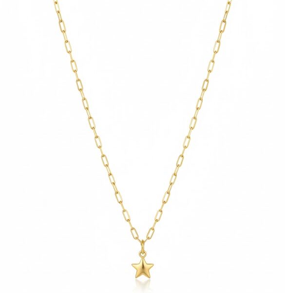 14 Ayar Altın Ataç Zincirli Kolye