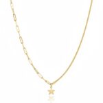 14 Ayar Altın Ataç Zincirli Yıldız Kolye